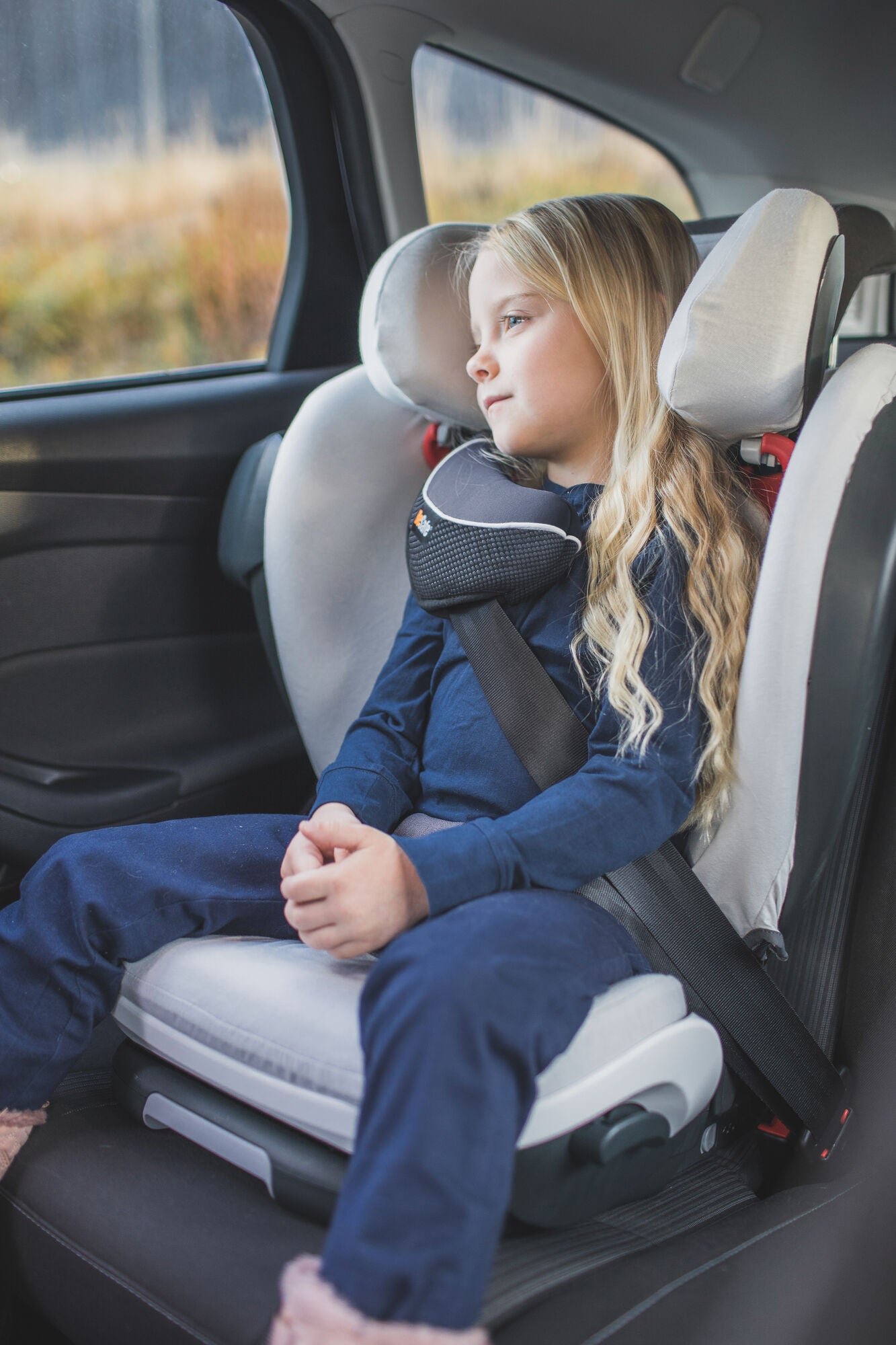 BeSafe Seat Cover