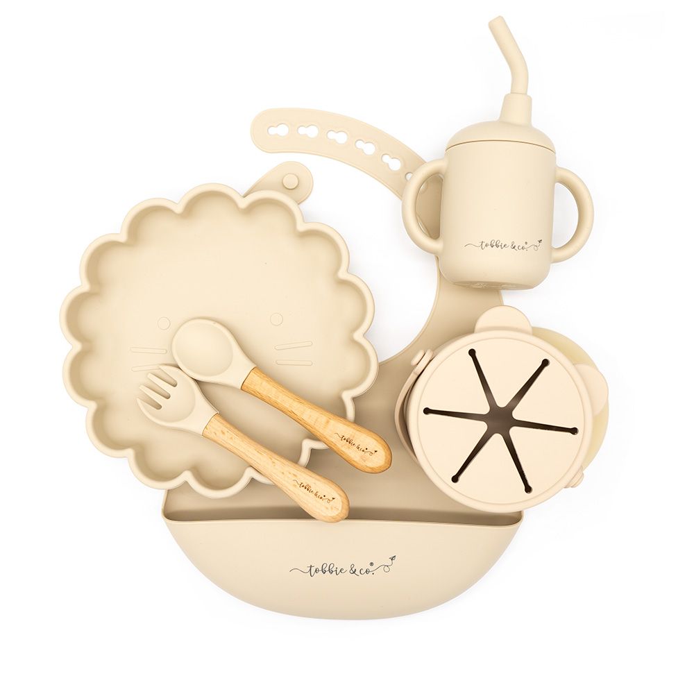 T&C Silicone feeding set