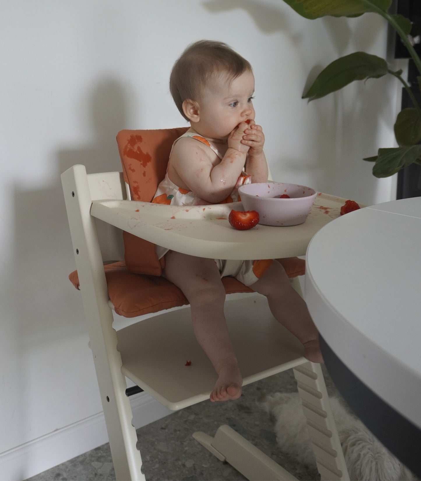 Stokke  Tray